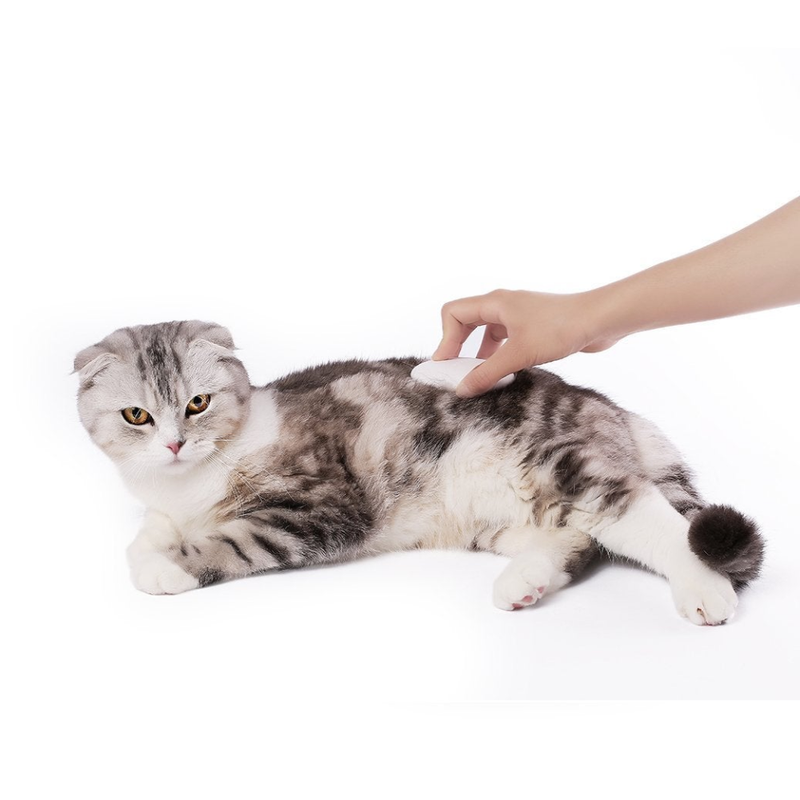 Pet Massage Comb Dog & Cat