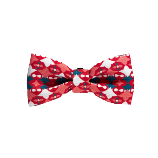 Marrakesh Same Bowtie