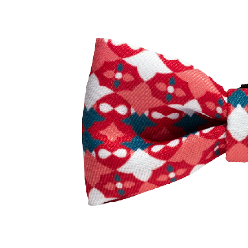 Marrakesh Same Bowtie