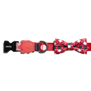 Marrakesh Same Bowtie