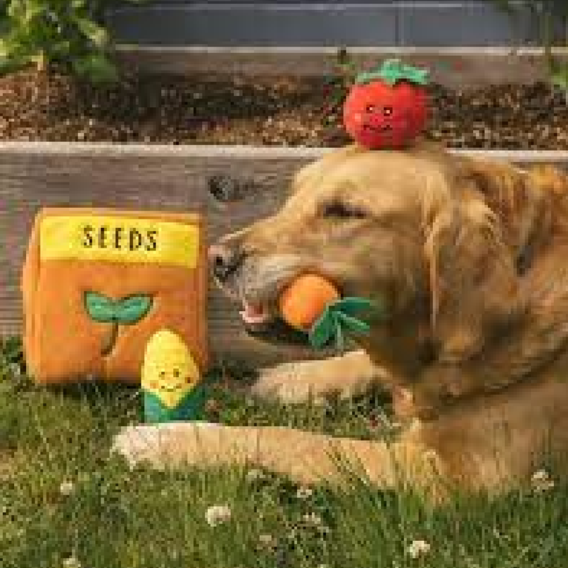 Zippy Burrow - Seed Packet Dog Toy
