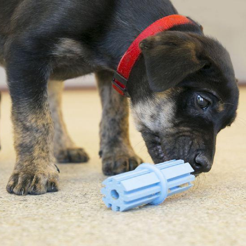 Puppy Teething Stick Dog Toy