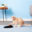 Wild Tails Cat Toy