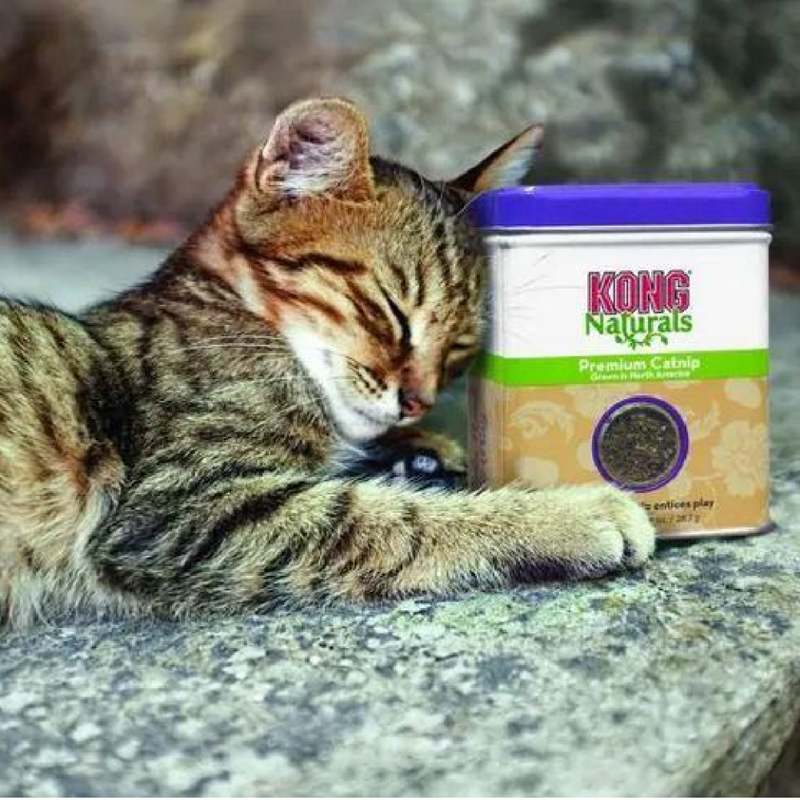 Naturals Premium Catnip For Cats