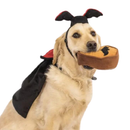 Halloween Costume Kit - Dracula For Dogs