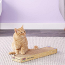 Single Cat Scratcher