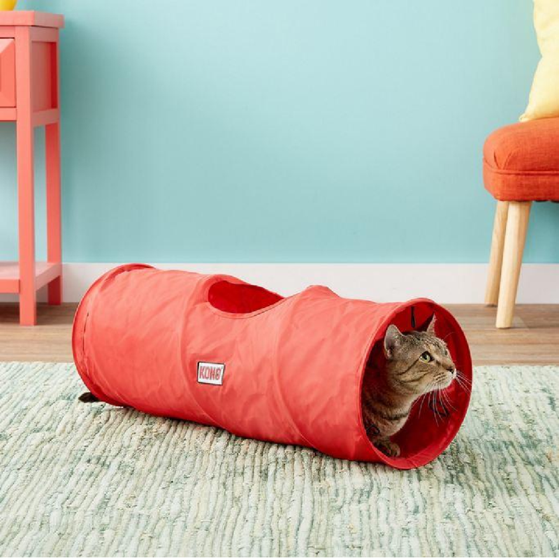Active Tunnel For Cats