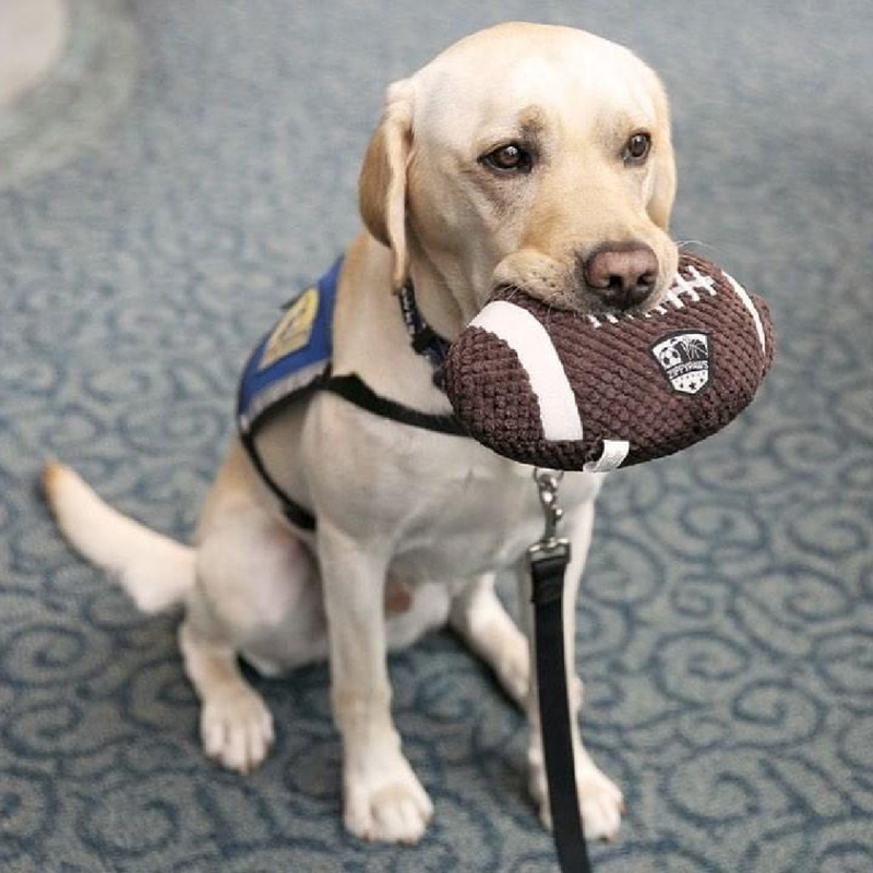 SportsBallz - Football Dog Toys