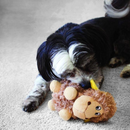 Barnyard Cruncheez Sheep Dog Toy