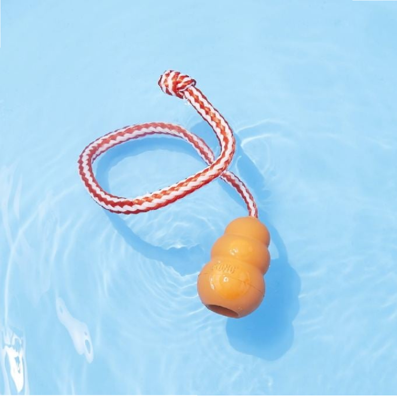 Aqua Dog Toy