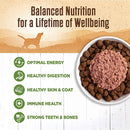 Complete Health Ninety-Five Percent Lamb Grain-Free Dog Food