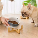 Pet Ceramic Bowl Nordic Luxury with Wooden Stand
