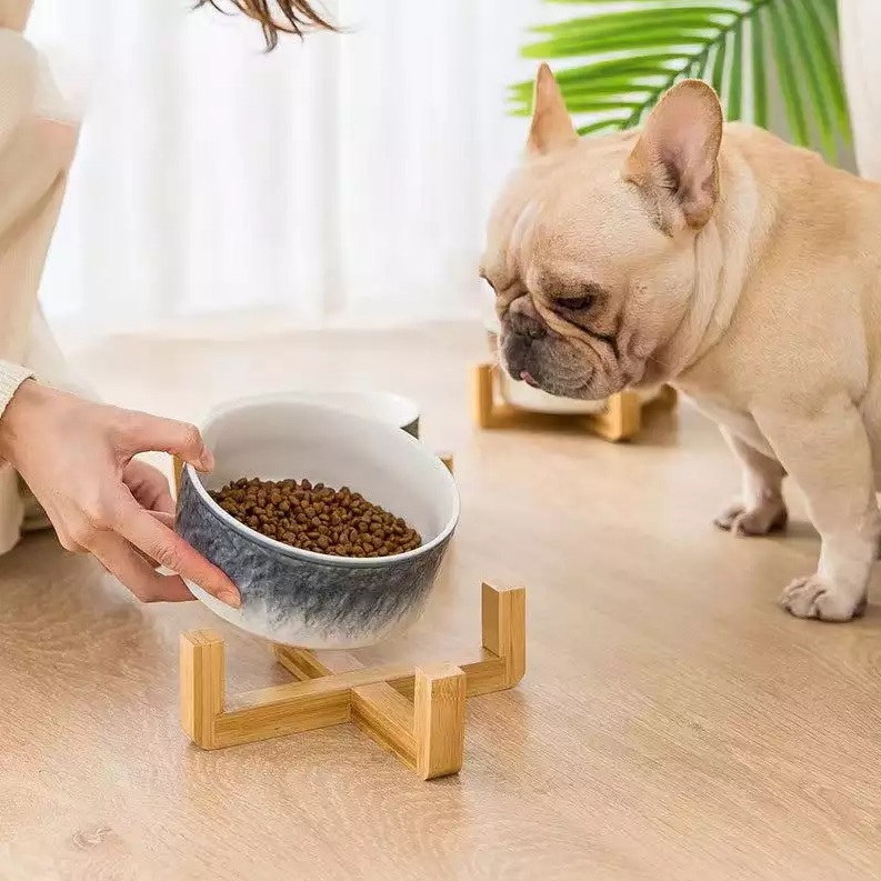 Pet Ceramic Bowl Nordic Luxury with Wooden Stand