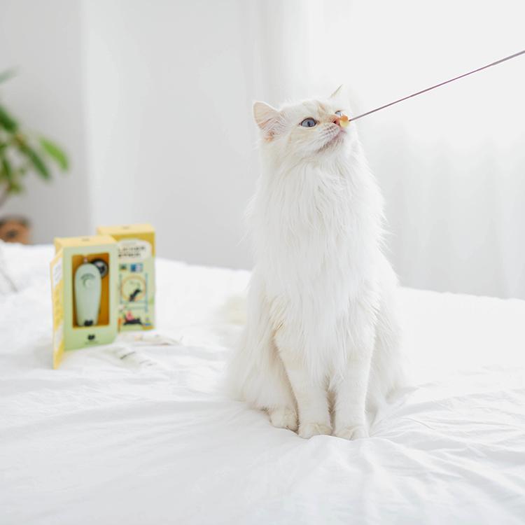 Clicker Stick for Cats