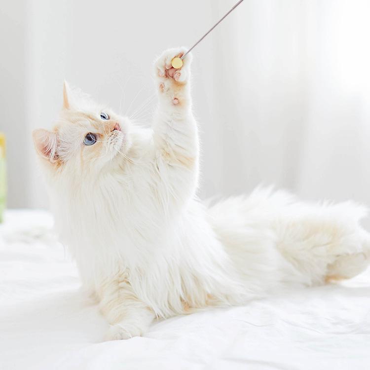 Clicker Stick for Cats