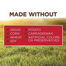 Original Grain-Free Real Beef Recipe Canned Dog Food