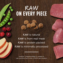 Original Grain-Free With Real Duck Dry Cat Food - 10lbs