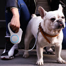 GO SHINE Retractable Dog Leash