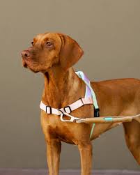 Peach Softer Walk Harness