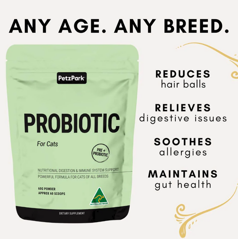 Probiotic Digestion and Immune System For Cats