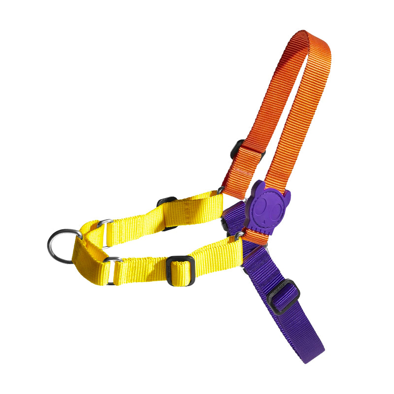 Pump Soft-Walk Harness