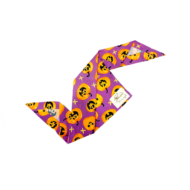 Pumpkin Bandana For Pets