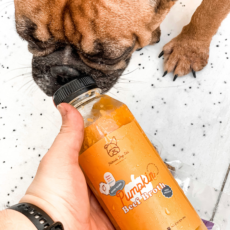 Pumpkin Beef Broth for Dogs