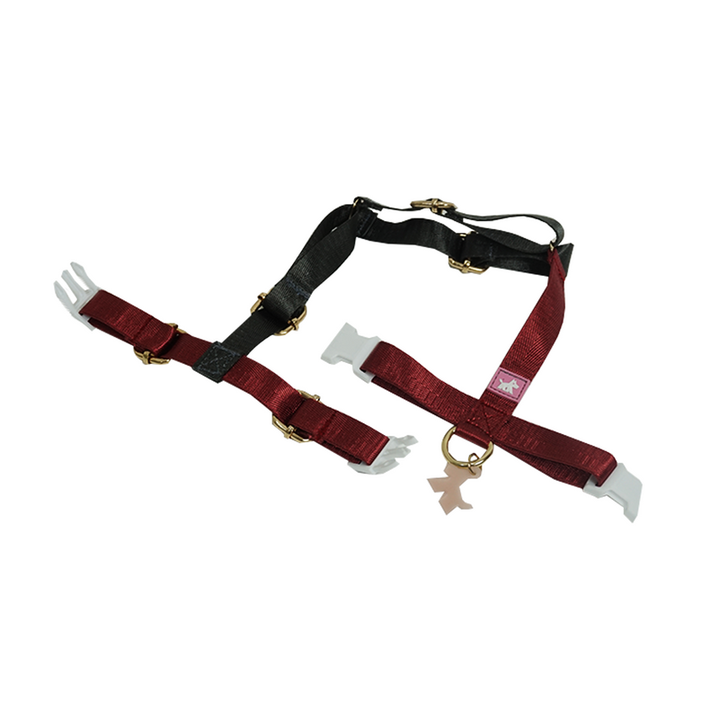 Rocky H-Harness