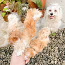 Rabbit Skin With Fur Dog Treats
