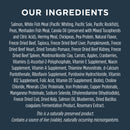 Raw Boost Grain Free Salmon Recipe Dry Dog Food