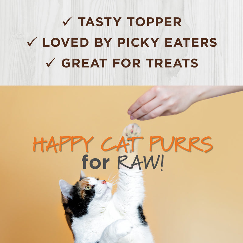 Raw Boost Mixer Skin & Coat Health Cat Food