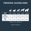 Raw Boost Skin & Coat Grain Free Chicken Recipe Dry Dog Food - 4Lbs