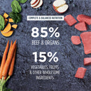 Raw Meals Freeze Dried Real Beef Recipe Dry Dog Food - 9.5oz