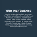 Raw Meals Freeze Dried Grass Feed Lamb Recipe Dry Dog Food - 9.5oz