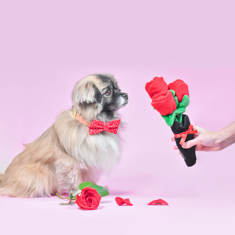 Valentine's Bouquet of Roses Squeaky Plush Dog Toy