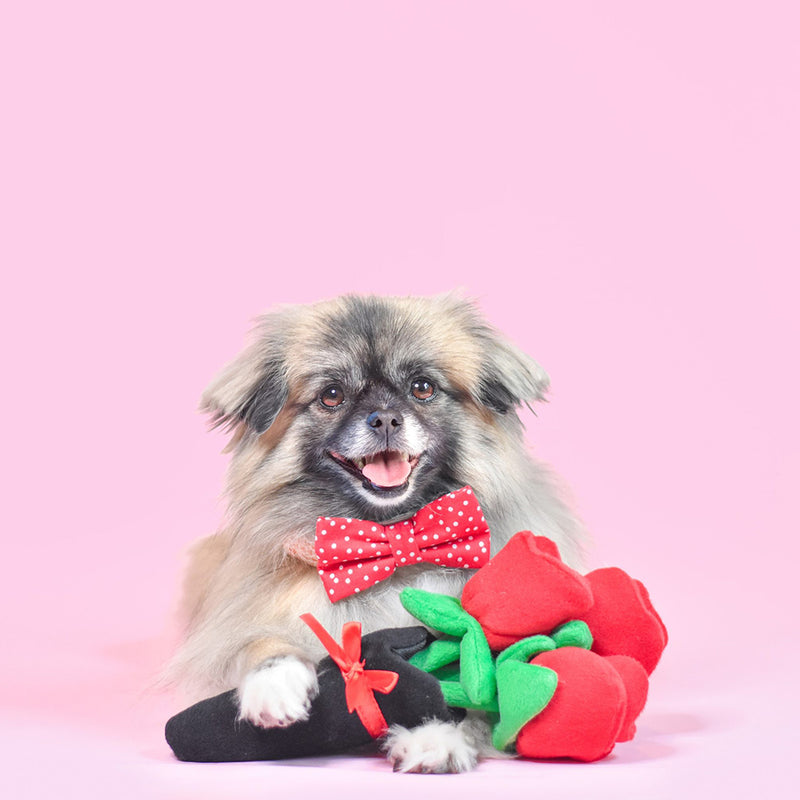 Valentine's Bouquet of Roses Squeaky Plush Dog Toy