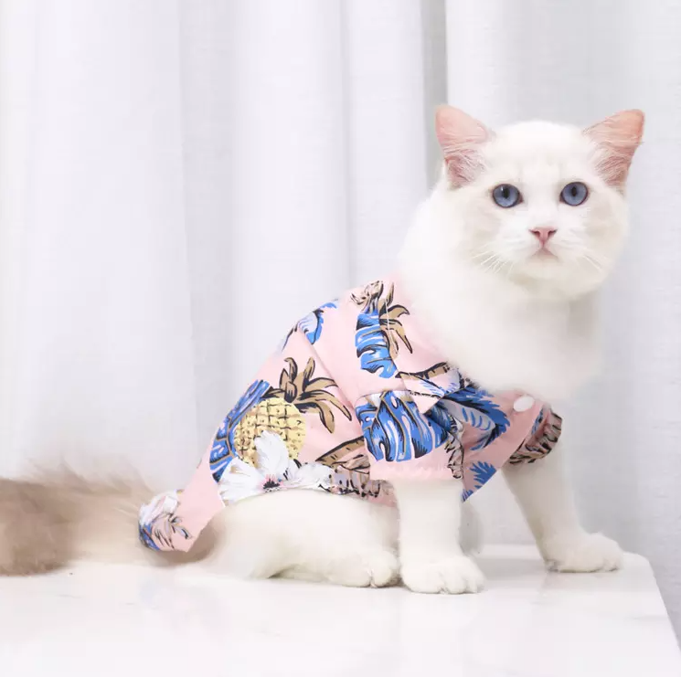 Spring Shirt Dog Cat Apparel Peach
