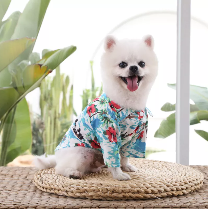 Spring Shirt Dog Cat Apparel White