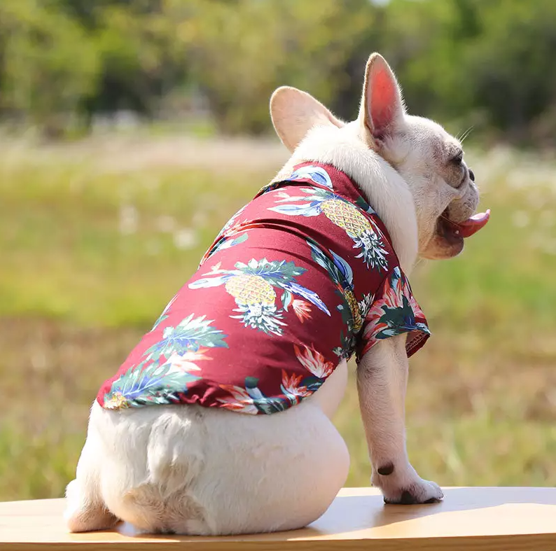 Spring Shirt Dog Cat Apparel Red