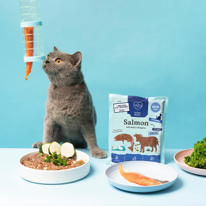 Salmon with Beef and Oregano Raw Cat Food