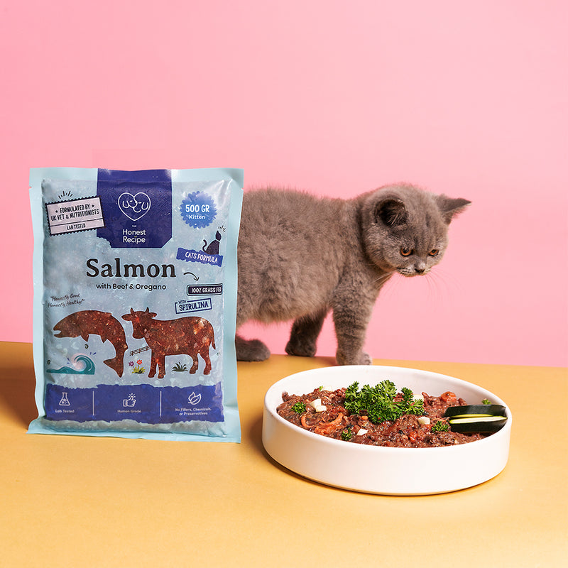 Salmon with Beef and Oregano Raw Cat Food