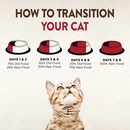 CORE 95% Beef & Chicken Grain-Free Canned Cat Food