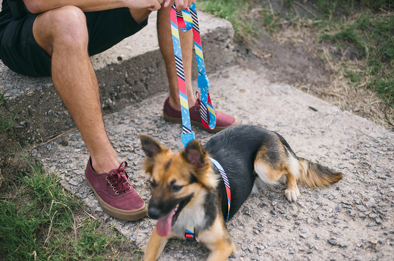 Brooklyn Leash