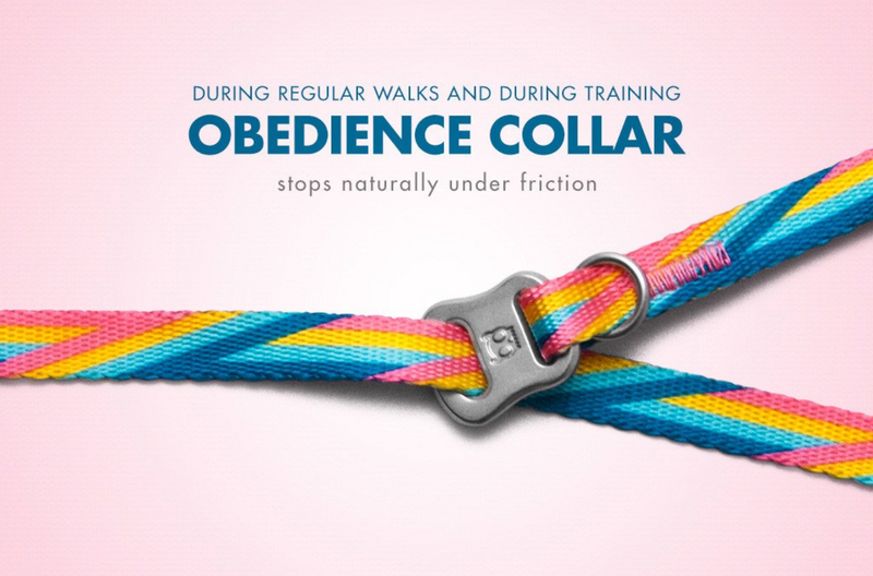Obedience Collar - Bowie
