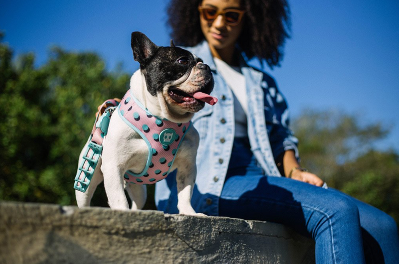 Polka Air Mesh Plus Harness