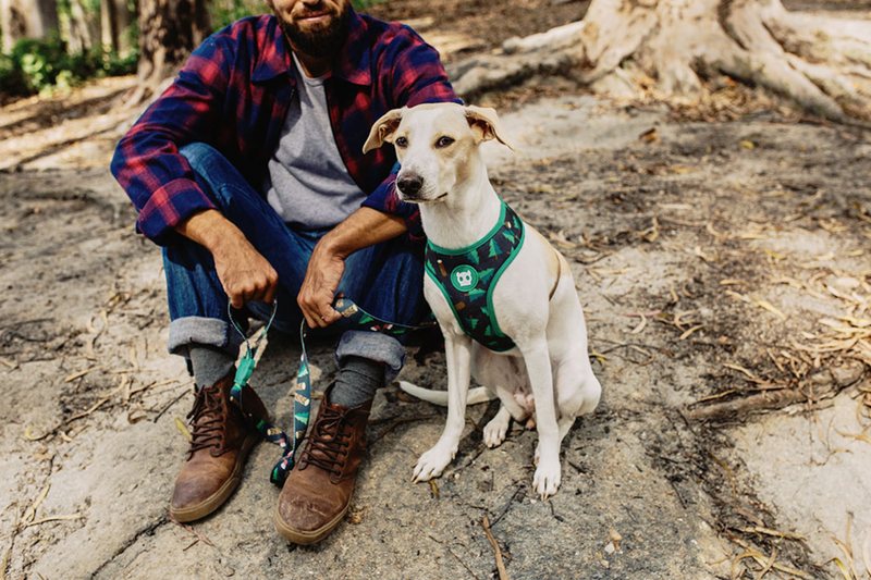 Woods Air Mesh Plus Harness