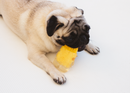 Brainies Brain Fried Banana Flavor Dog Toy