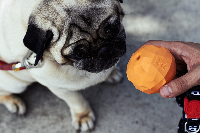 Super Orange Dog Toy