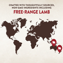 CORE SIX Free Range Lamb Grain Free Dry Dog Food