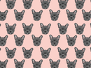 Frenchie Pet Blanket
